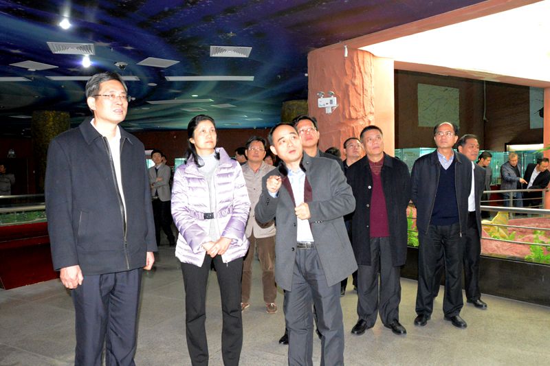 肇慶市黨政代表團到我館參觀考察