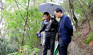 市文廣新局領(lǐng)導(dǎo)到我館調(diào)研龜峰塔保護及安防更新改造工程