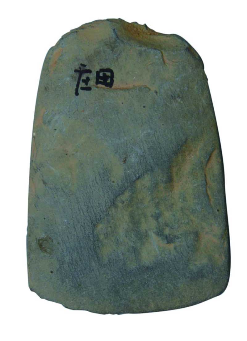 新石器時(shí)代晚期石錛