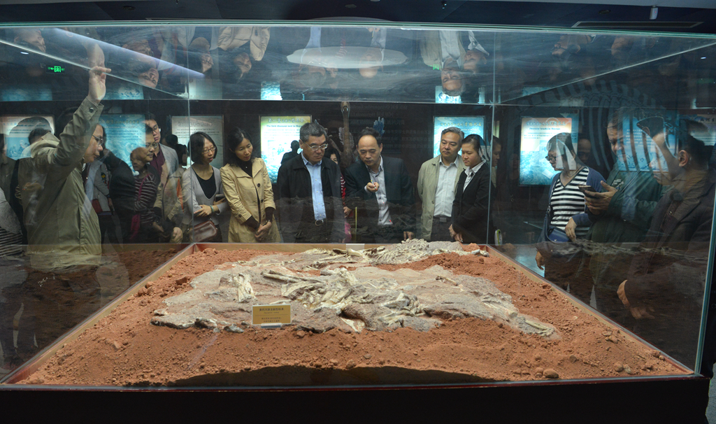 省文化廳廳長汪一洋一行到河源市調(diào)研文化工作