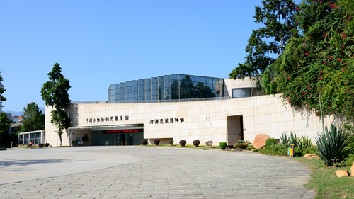 關于河源恐龍博物館閉館整修的通告