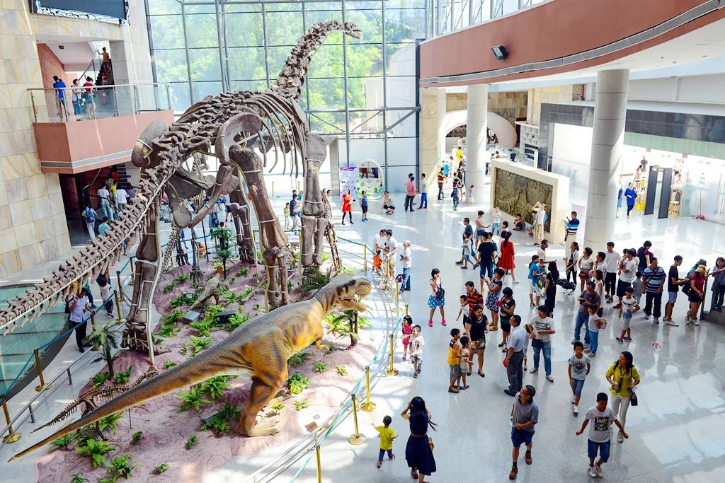 叮咚！一份來自河博的新春文化“菜單”請您接收