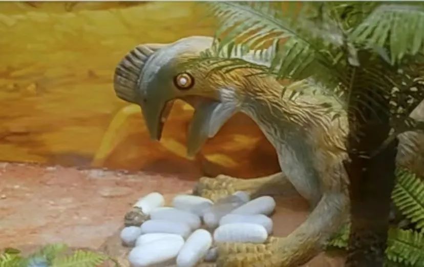 龍聚河源 | 短視頻：第三集《蒙冤！竊蛋龍的不實(shí)之名》