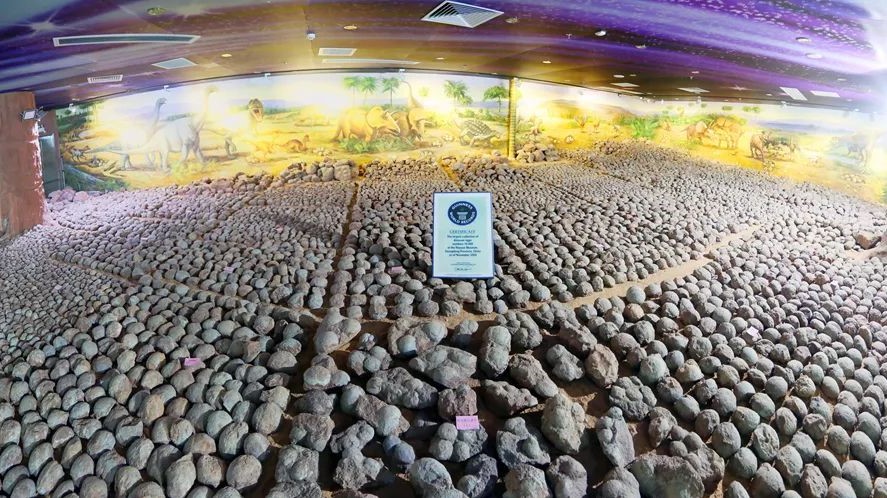 龍聚河源 | 短視頻：第四集《驚嘆！恐龍蛋館藏世界第一》