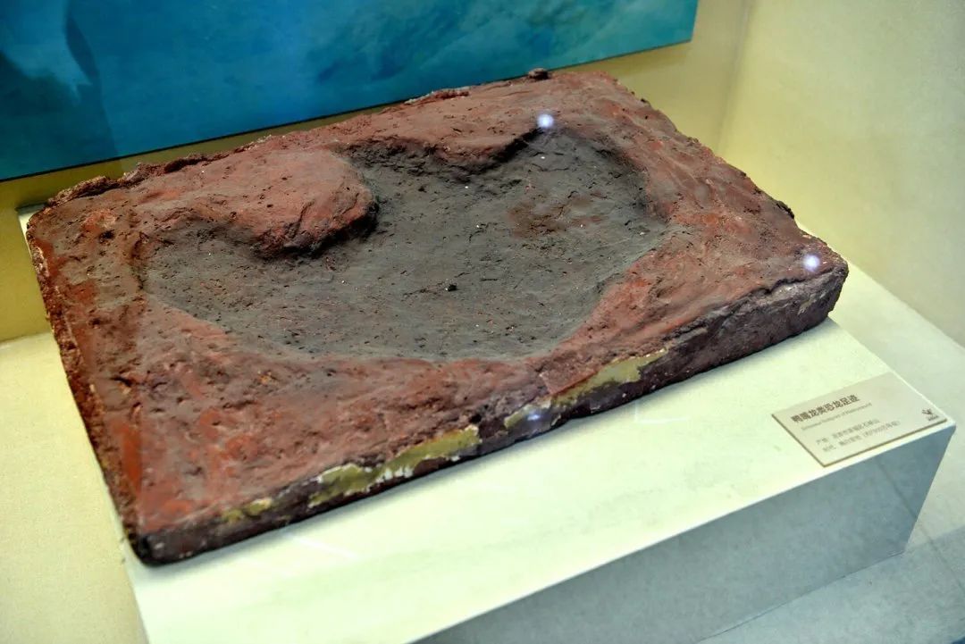 龍聚河源 | 第八集：《奔走！生命的印跡》