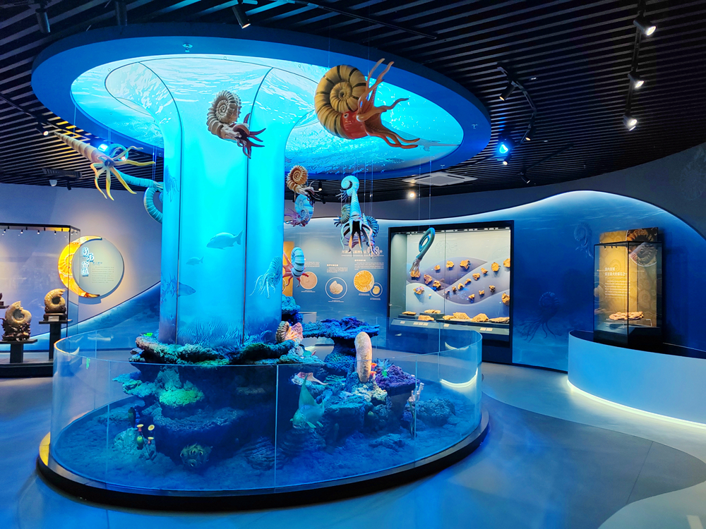 河博新展啟幕，打造國內(nèi)首個(gè)國有博物館菊石主題展廳