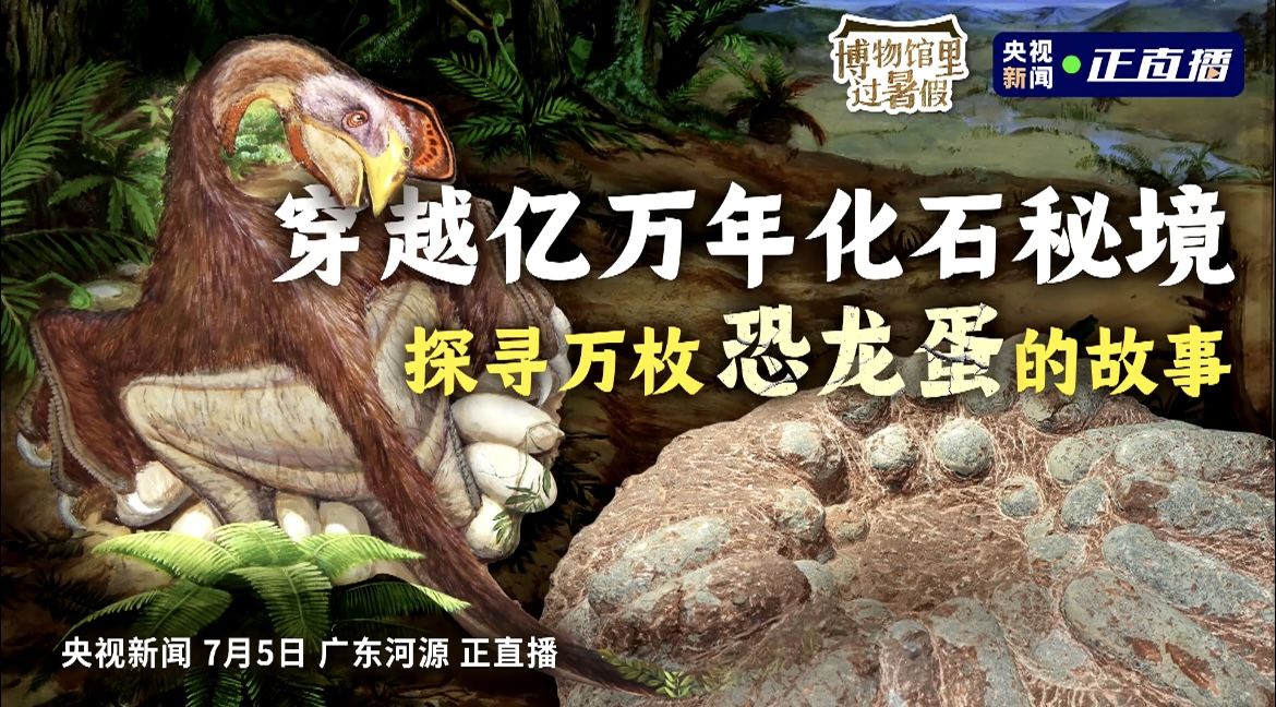 央視新聞力薦河源恐龍，超100分鐘直播點(diǎn)燃觀(guān)眾熱情