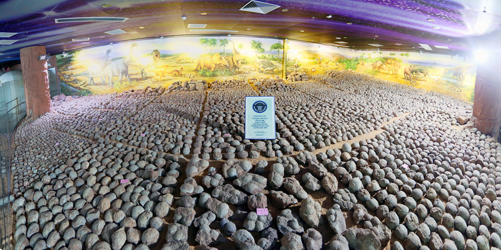 專(zhuān)家特色導(dǎo)覽講解第9期：與中科院專(zhuān)家同行 解密恐龍蛋的故事