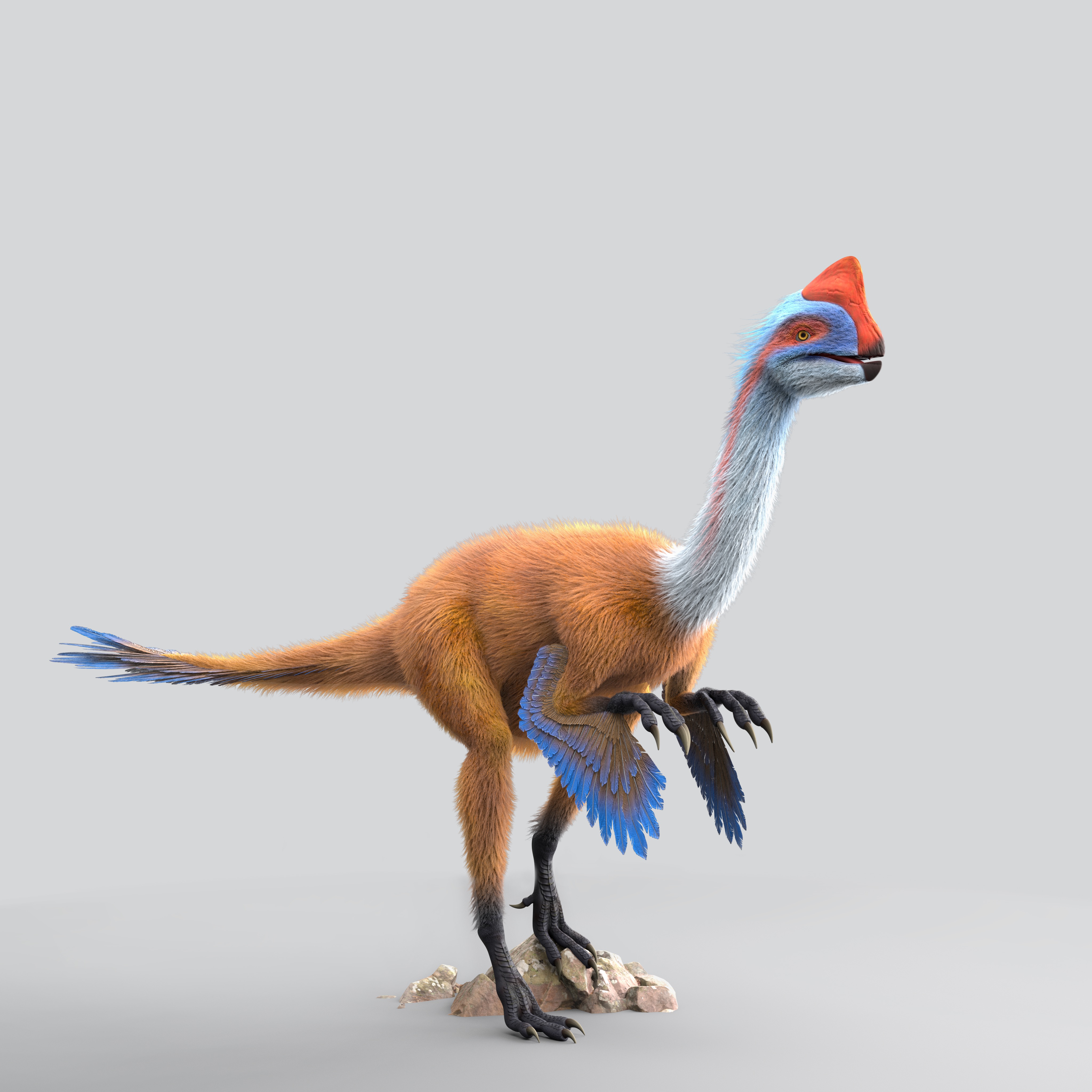 專家特色導覽講解第14期：中科院博士為您揭開黃氏河源龍的未解之謎